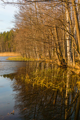 Similar image 7542677