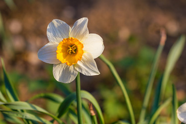 Similar image 7542683