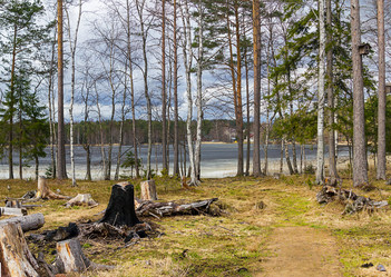 Similar image 7542687