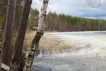 Similar image 7542689