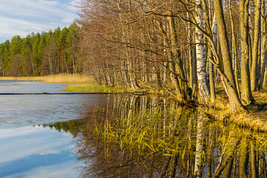 Similar image 7542691