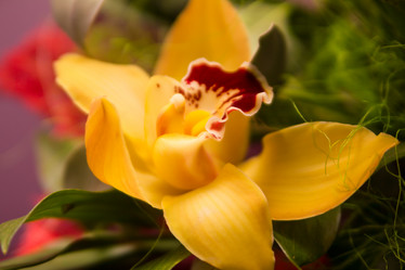 Similar image 7542713