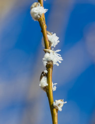 Similar image 7542725