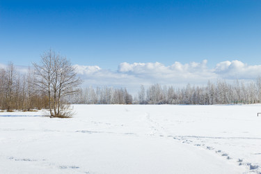 Similar image 7542728