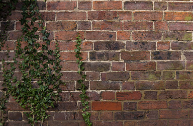 Similar image 7542735