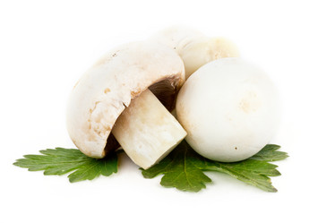 Similar image 7542741