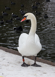 Similar image 7542751