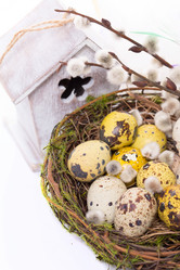 Similar image 7542782