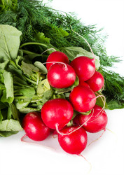 Similar image 7542794