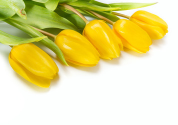 Similar image 7542799