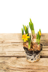 Similar image 7542803