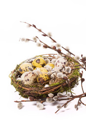 Similar image 7542806