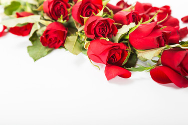 Similar image 7542827