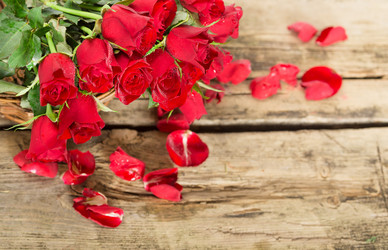 Similar image 7542832