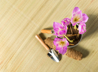 Similar image 7542835