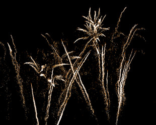 Similar image 7542837