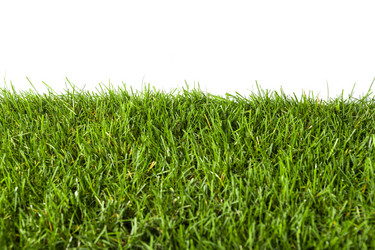 Similar image 7542843