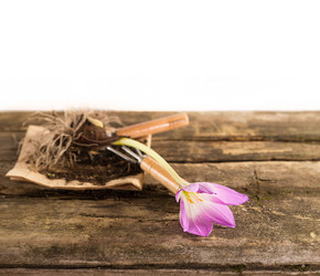 Similar image 7542844