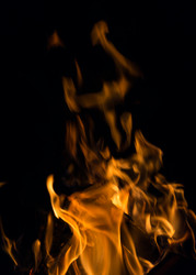 Similar image 7542849