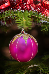 Similar image 7542870