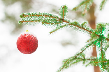 Similar image 7542876