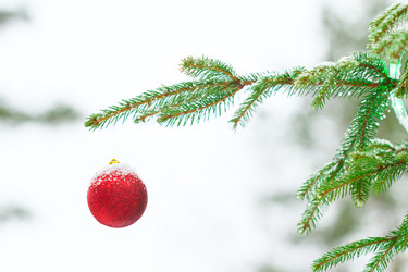 Similar image 7542879