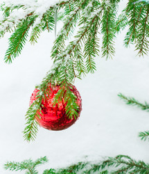 Similar image 7542886