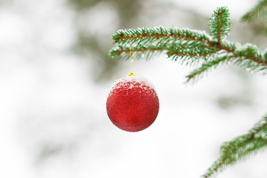 Similar image 7542889