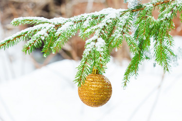 Similar image 7542893