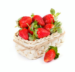 Similar image 7542905