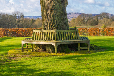 Similar image 7542926