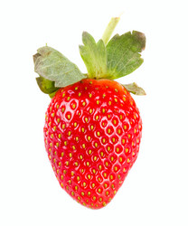 Similar image 7542933