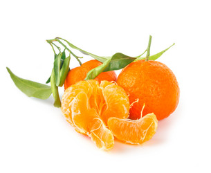 Similar image 7542934