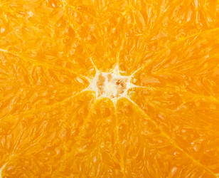 Similar image 7542944