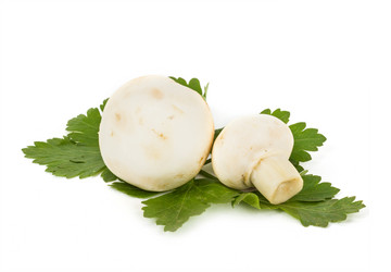 Similar image 7542966