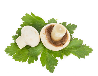 Similar image 7542967