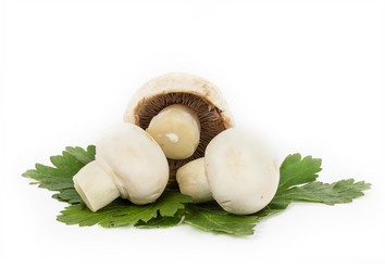 Similar image 7542968