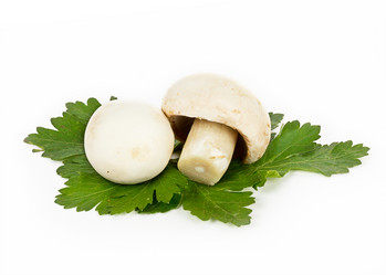 Similar image 7542971