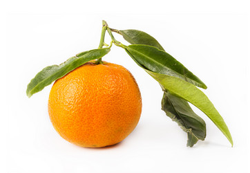 Similar image 7542990