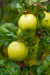 Similar image 7542994