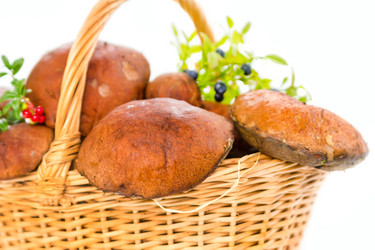 Similar image 7543020