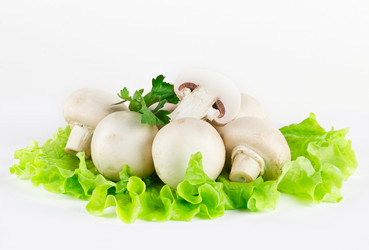 Similar image 7543023