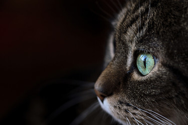 Similar image 7543046