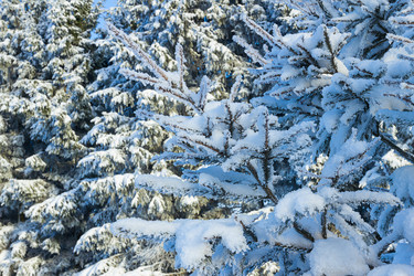 Similar image 7543051