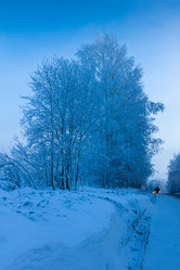 Similar image 7543053