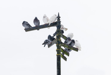 Similar image 7543057