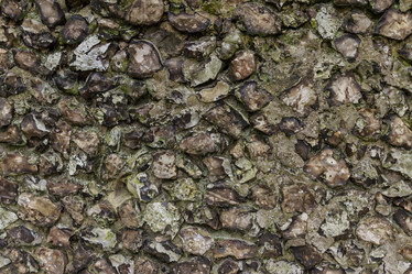 Similar image 7543058