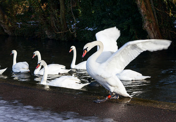 Similar image 7543061