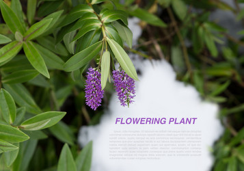 Similar image 7543064