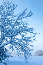 Similar image 7543069